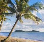 Eden Oceans Edge Palm Cove - Bed n Breakfasts