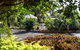 Country Comfort Bundaberg - thumb 0