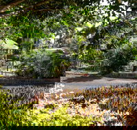 Country Comfort Bundaberg - Local Tourism