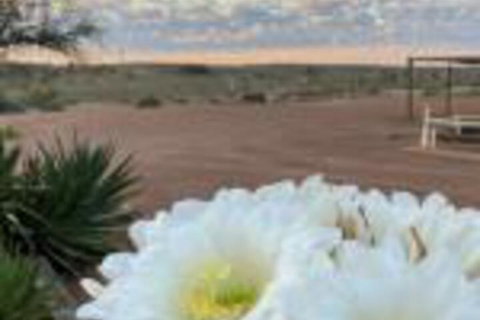 White Cliffs Underground Motel - Local Tourism 0