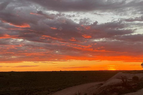 White Cliffs Underground Motel - Local Tourism 3