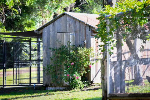 RayfieldsatBerry Kangaroo Valley - Australia Shopping 5