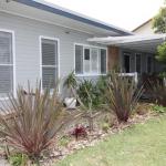 Natures Beauty In Berrara - Australia Shopping 0