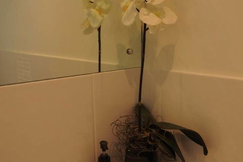 Sanctuary In The Valley - Accommodation Australia 4