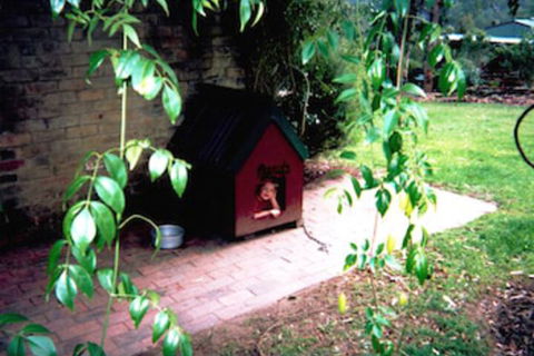 Kurrajong Trails And Cottages - Australia Shopping 1