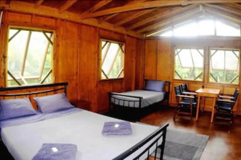 Daintree Rainforest Bungalows - Accommodation Australia 5