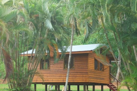 Daintree Rainforest Bungalows - Accommodation Australia 0