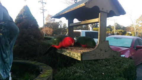 Grand Country Lodge Motel - Local Tourism 3