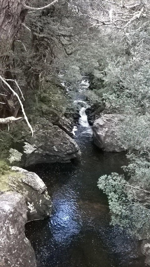 Tranquilles Bed And Breakfast - Accommodation Australia 3