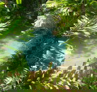 Palm Cove Tropic Apartments - Bed n Breakfasts