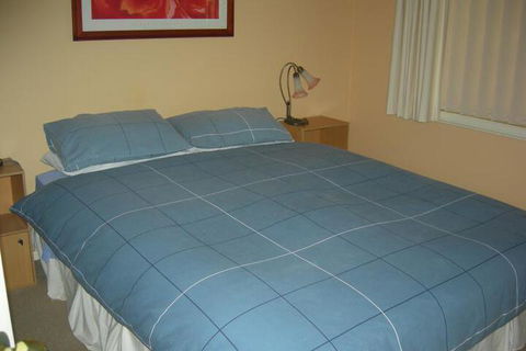 Busy Buzz B & B - Australia Shopping 3