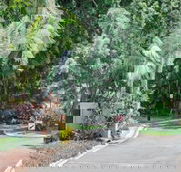 Oasis at Palm Cove - Bed n Breakfasts