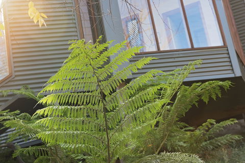 Cladich Pavilions - Accommodation Australia 1