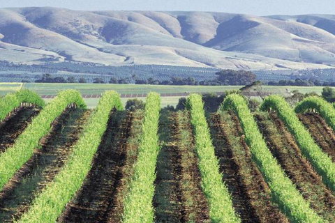 Willunga House - Accommodation Australia 4