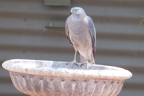 Kathys Place Bed And Breakfast - Local Tourism 3