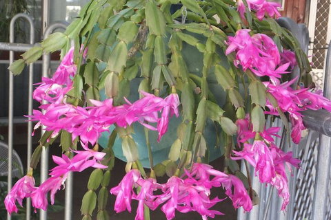 Kathys Place Bed And Breakfast - Local Tourism 1