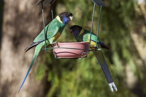 Kathys Place Bed And Breakfast - Local Tourism 2