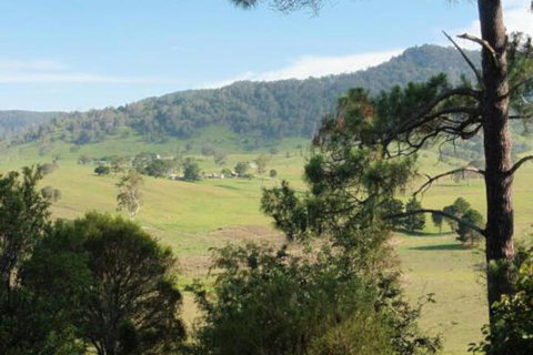 The Old School Bed & Breakfast - Bed n Breakfasts 0