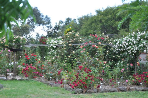 Fairy Wren Cottage Country To Coast Retreat - Australia Shopping 6