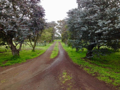 Fairy Wren Cottage Country To Coast Retreat - Australia Shopping 4