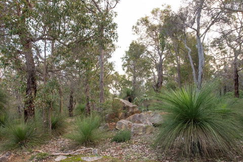 A Hidden Bush Delight - Local Tourism 6