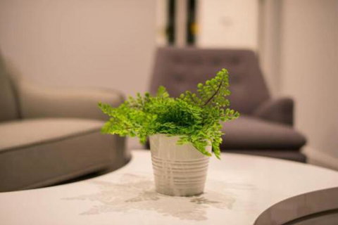 Astrina Garden View 2 Bedroom - Local Tourism 6