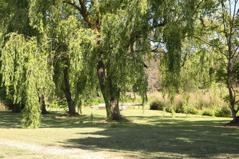 Little Lake Cottage - Accommodation Australia 1
