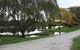 Little Lake Cottage - thumb 2