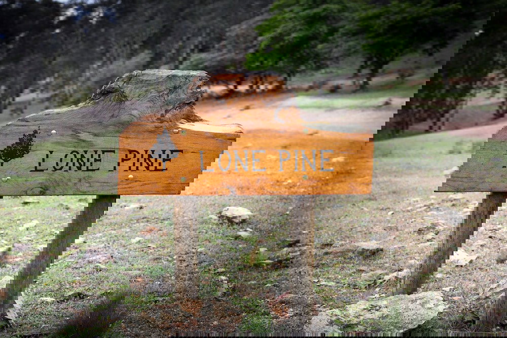 Binnaway NSW Accommodation Australia