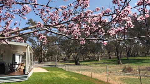 Rosewood Cottage - Accommodation Australia 3