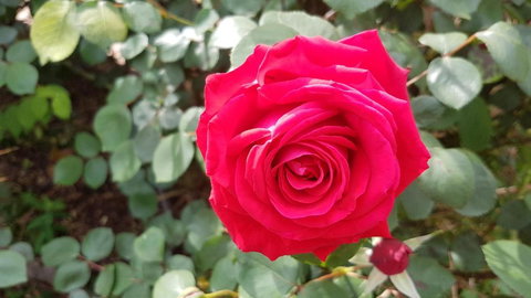 505 CONROD STRAIGHT MOUNT PANORAMA - Accommodation Australia 5