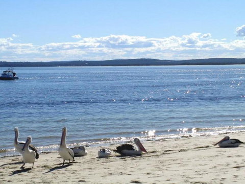 23 Bay Parklands 2 Gowrie Avenue Little Beach Air Con Pool & Tennis Court - Accommodation Australia 2