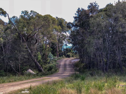 BAY Of FIRES ECO HUT Off Grid Experience At Binalong Bay - Accommodation Australia 3