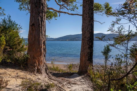 Fairwinds Tasmania - Accommodation Australia 6