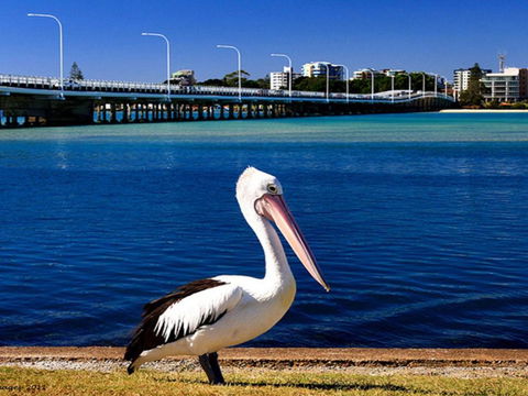 Parkside Marina 1 CBD Location - Accommodation Australia 4