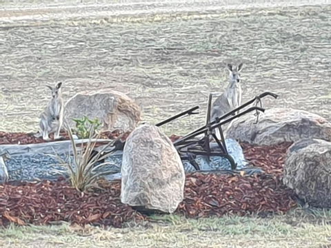 R & R On The Ravine - Accommodation Australia 5