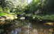 Alcheringa Cottage - thumb 5