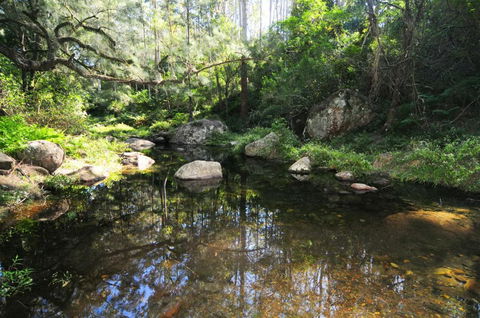 Alcheringa Cottage - Local Tourism 5