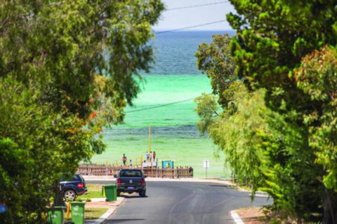 Opulent Oasis - Local Tourism 7