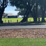 Yaringa Cottage...by The Sea - Accommodation Australia 0