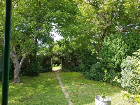 Cute Cottage On Byng Walk To Town & Pet Friendly - Accommodation Australia 1