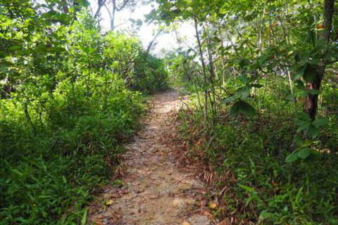 Driftwood - Accommodation Australia 2