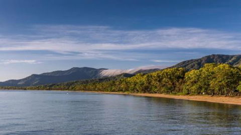 RED COWRIE 321atPALM COVE - Accommodation Australia 3
