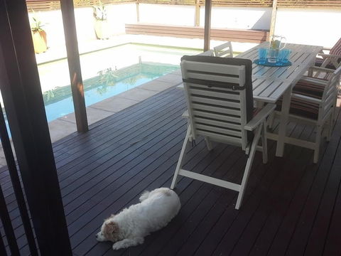 Minutes Walk To Peregian Beach & Surf! Unit 1 / 28 Pelican Street - Accommodation Australia 1