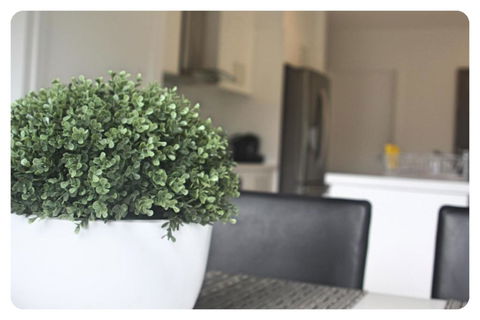 The Shae Luka Private Apartment - Accommodation Australia 5