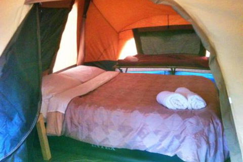 WA Wilderness Glamping - Accommodation Australia 3