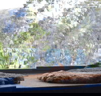 Driftwood