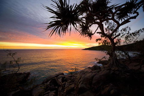 Low Tide On Noosa Sound Pet Friendly - Accommodation Australia 4
