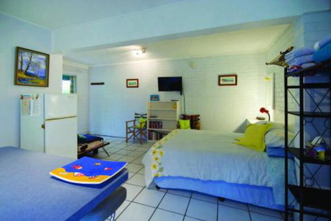 Pacific Studio Nambucca Heads - Accommodation Australia 7