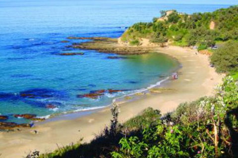 Pacific Studio Nambucca Heads - Accommodation Australia 5